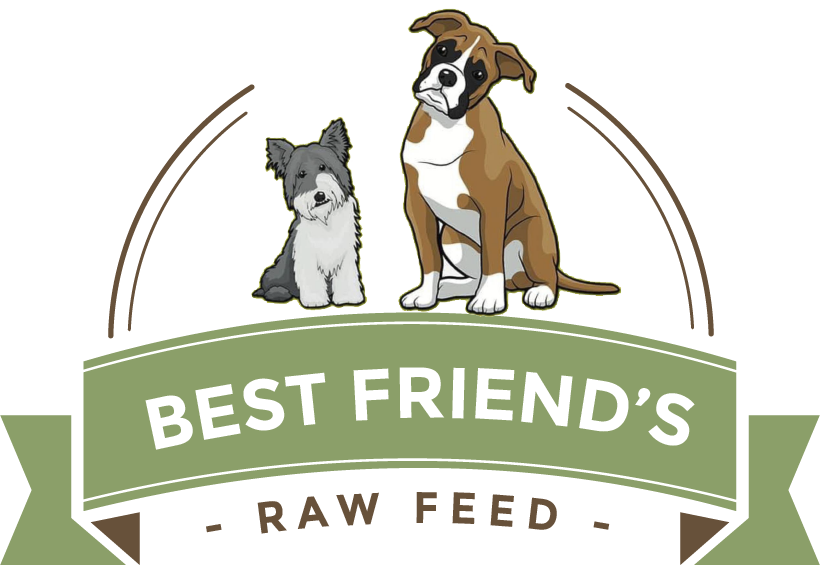 Best Friend's raw feed logo